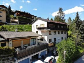 Apartment Biegel-Kraus Steinach Am Brenner